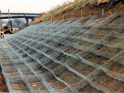 雷諾護墊工程案例圖片4